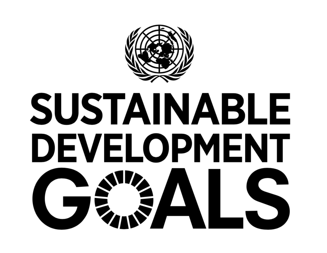 Sustainable Development Goals Logo 